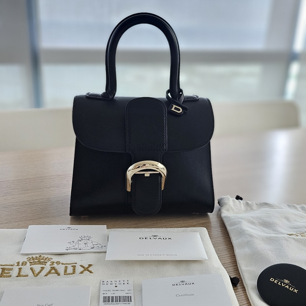 Delvaux Brillant Mini Black In Calf Box Leather And Gold Hardware